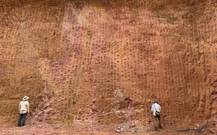 Cuia Guimarães/Cortesia