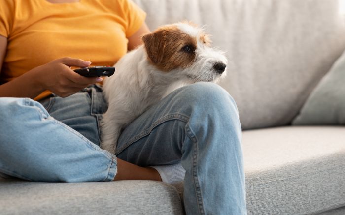Ferramenta ajuda quem sofre com finais tristes envolvendo animais a escolher o que assistir sem sustos (Foto: Divulgação)